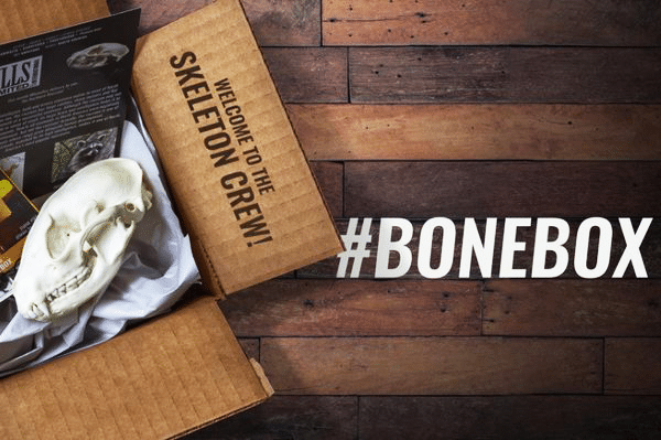 Skulls Unlimited International - A Monthly Bone Subscription Box