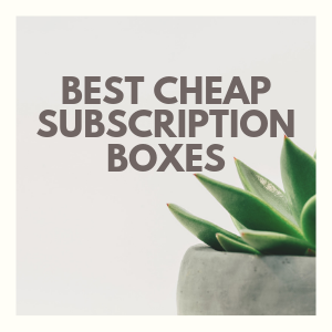 All Cheap Subscription Boxes for 2019