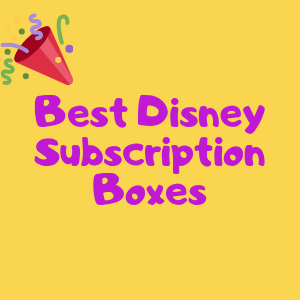 Disney Monthly Subscription Boxes