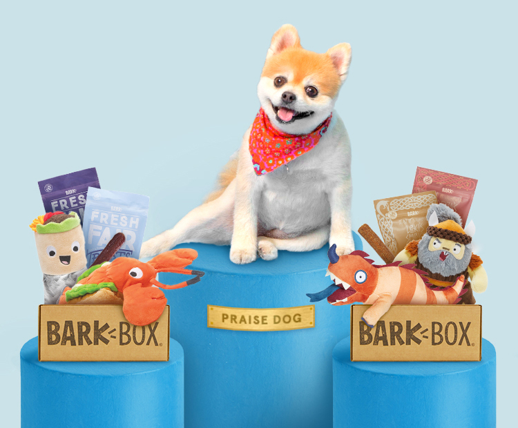 cheap monthly dog box